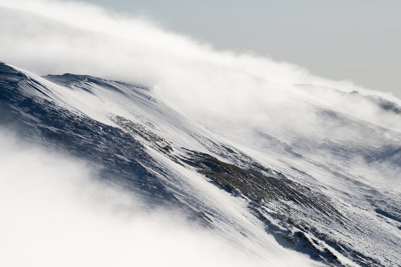 Alpine Meadows Lodge